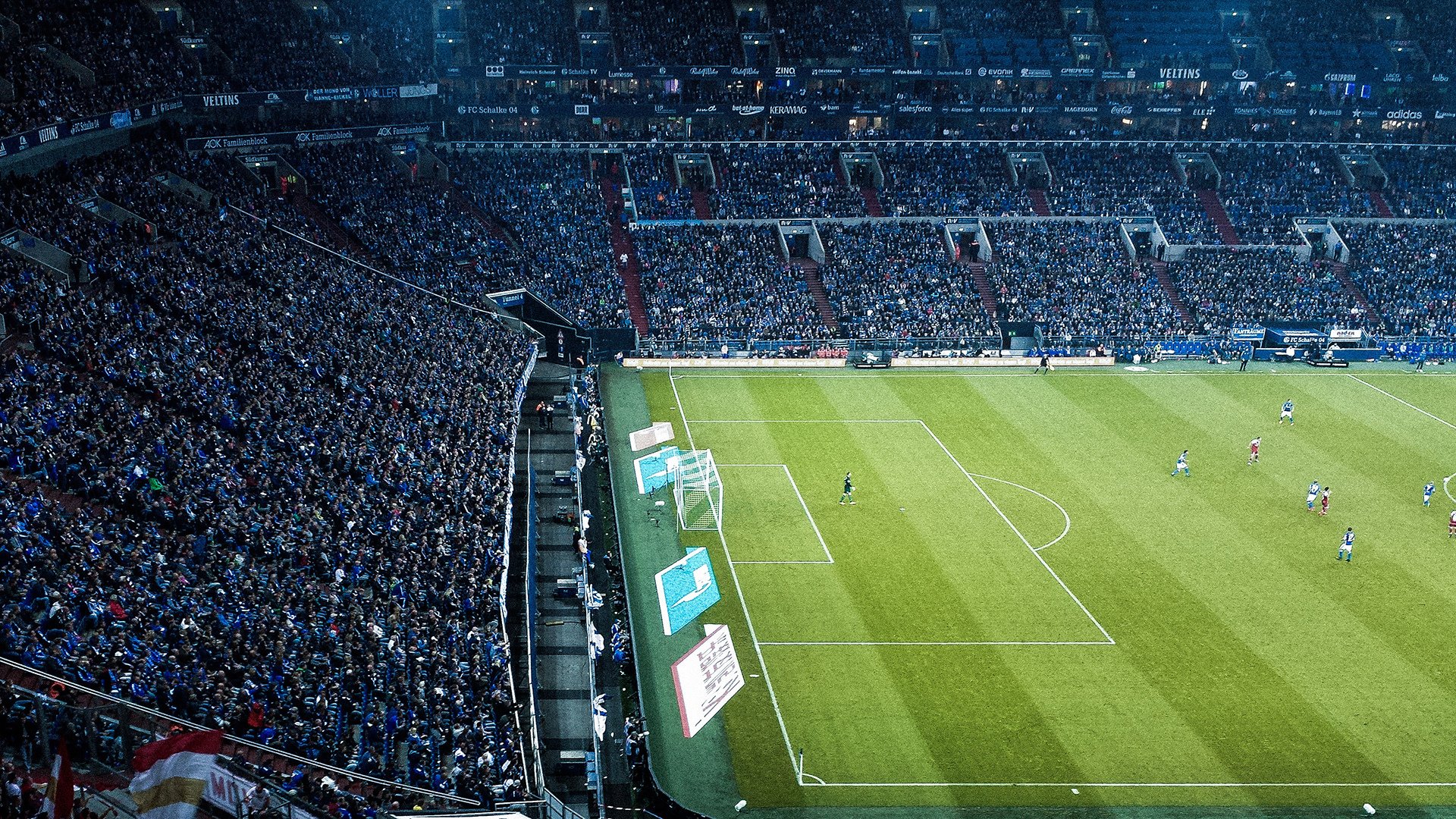 中国新星张伟龙KO日本冠军,亚洲格斗锦标赛引爆东京