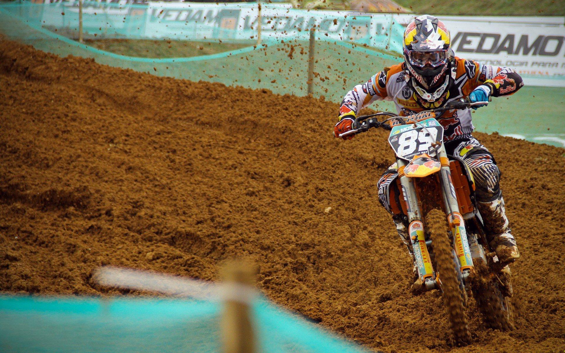 中国游泳队再创佳绩 世锦赛斩获三金两银