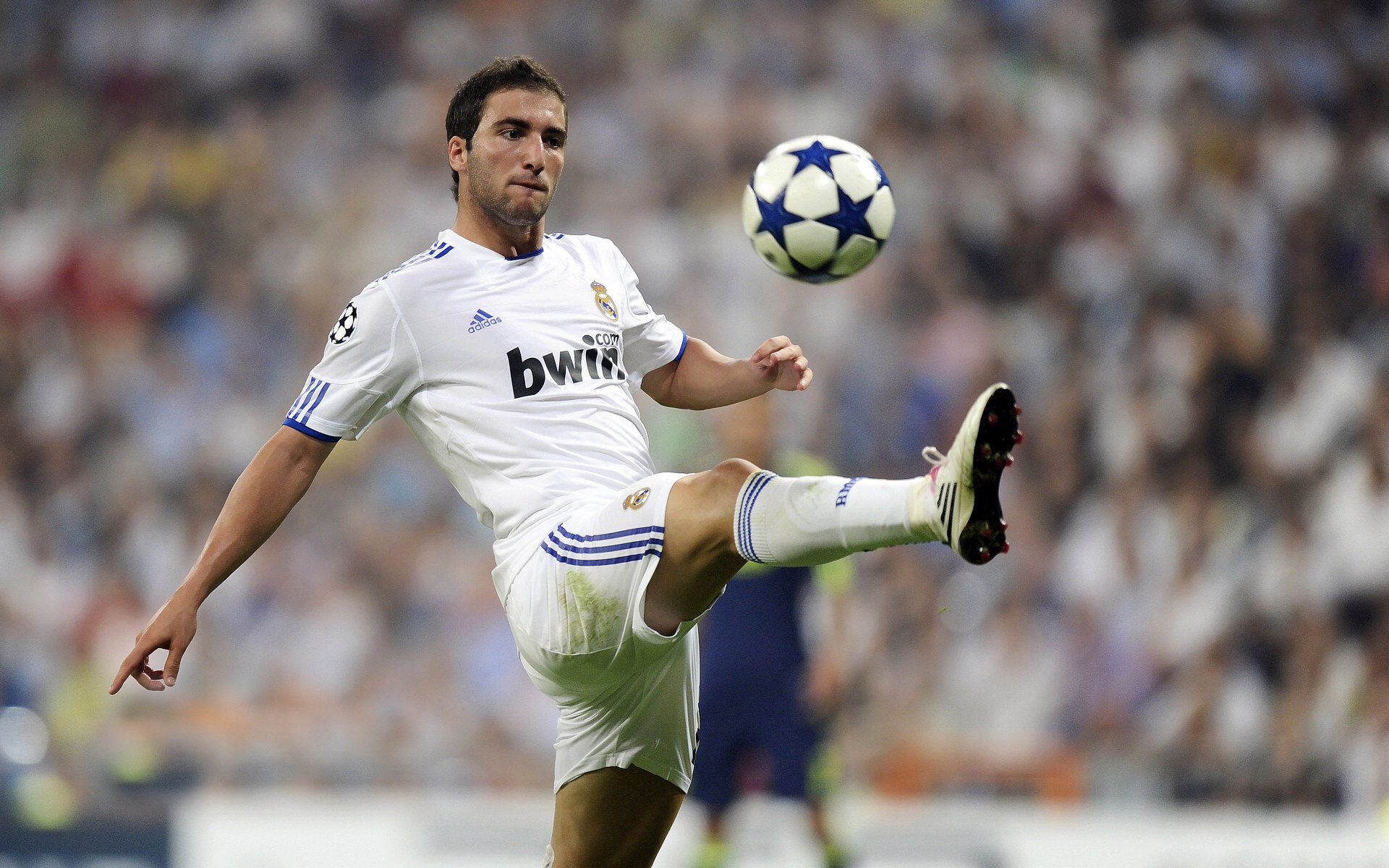 巴黎奥运会倒计时，全球健儿备战正酣，东道主法国全力冲刺